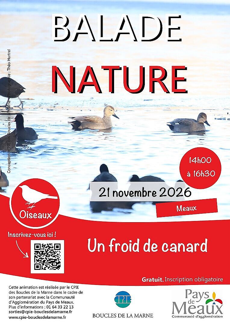 Balade nature : Un froid de canard