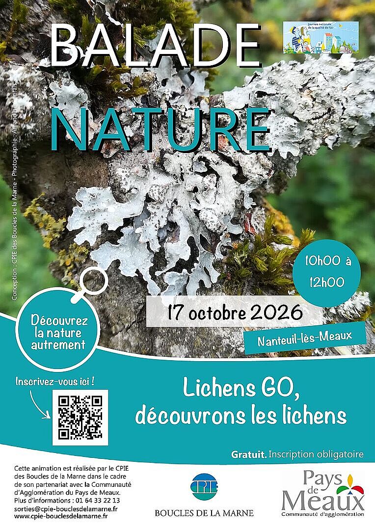 Balade nature : Lichens GO, découvrons les lichens